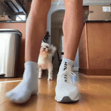 Lift Kicks — demonstratie 2