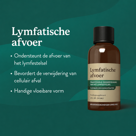 Lymfatische Afvoer Ondersteuning - Voel je slanker & frisser