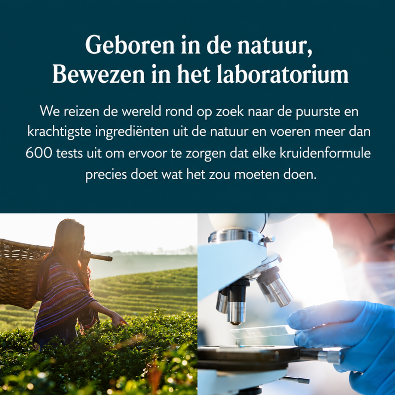 Lymfatische Afvoer Ondersteuning - Voel je slanker & frisser