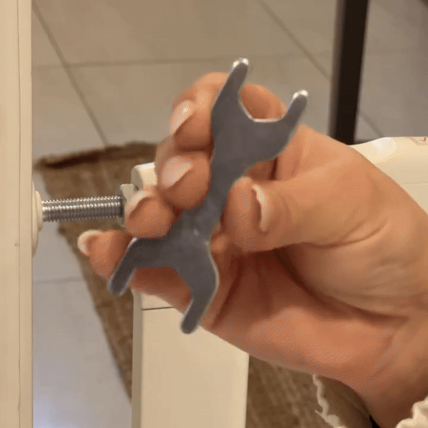 SafeGuard — demonstratie 1