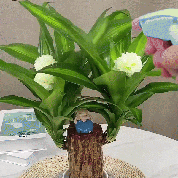 LuckyLeaf — demonstratie 2