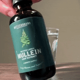 Mullein LeafExtract — demonstratie 1