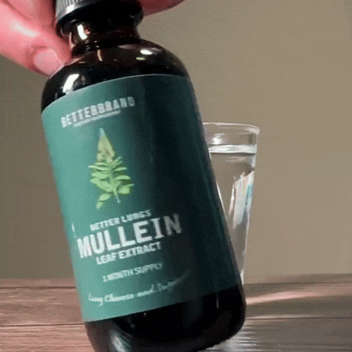 Mullein LeafExtract — demonstratie 1
