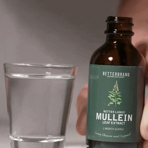 Mullein LeafExtract — demonstratie 3