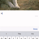 FrameVision — demonstratie 2