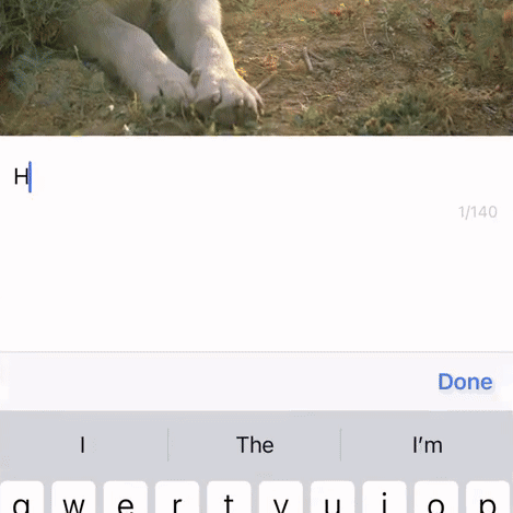 FrameVision — demonstratie 2
