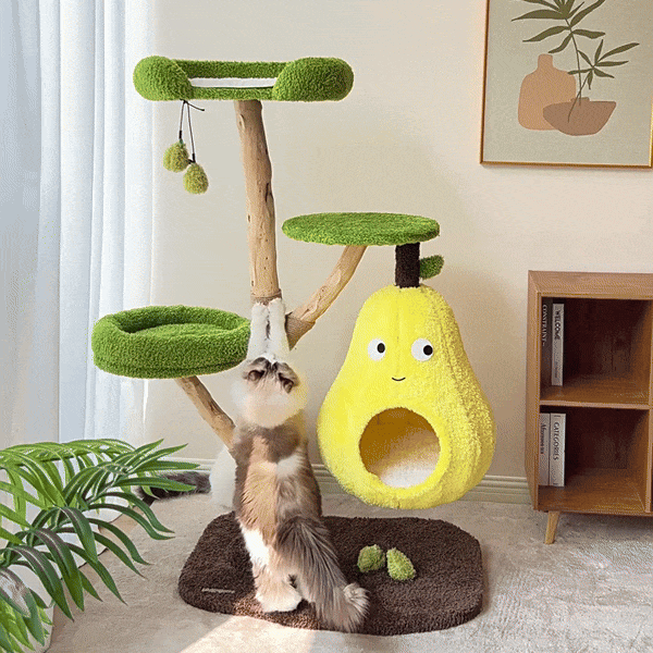 PawPear — demonstratie 2