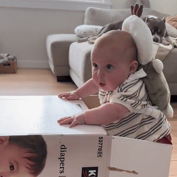 Baby Backup — demonstratie 1